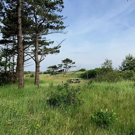 On Texel At デン・ホールン