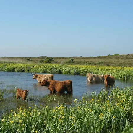 On Texel At * デン・ホールン